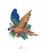 Pochette de 5 Lovely Tatoo Perroquet Coloré Tatouages Ephémères SIOOU