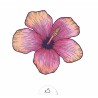 Pochette de 5 Lovely Tatoo Fleur d'Hibiscus Colorée Tatouages Ephémères SIOOU