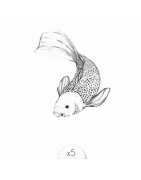 Pochette de 5 Lovely Tatoo Carpe Koï Tatouages Ephémères SIOOU