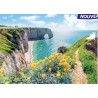 Puzzle 1000 pièces Etretat, Mont St Michel, Jardin Tropical ou Tableau H.E Cross SENTOSPHERE