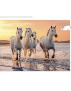 Puzzle 500 pièces (Pièces XL) Chevaux de Camargue ou Fonds Marins SENTOSPHERE