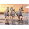 Puzzle 500 pièces (Pièces XL) Chevaux de Camargue ou Fonds Marins SENTOSPHERE