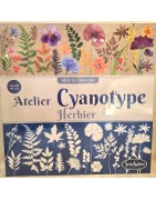 Jeu Loisirs Créatifs Atelier Cyanotype Herbier 10 ans et + SENTOSPHERE