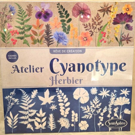 Jeu Loisirs Créatifs Atelier Cyanotype Herbier 10 ans et + SENTOSPHERE