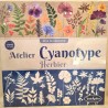 Jeu Loisirs Créatifs Atelier Cyanotype Herbier 10 ans et + SENTOSPHERE