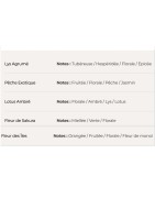 Bougie en perles de cire Collection Flora POUDRÉE PARIS