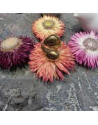 Grosse Bague Réglable en Acier Doré Croisée Dessus Asymétrique  ECLAT PARIS