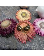 Grosse Bague Réglable en Acier Doré Ouverte Dessus Asymétrique ECLAT PARIS