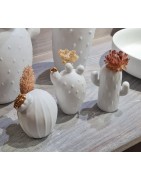 Ensemble Trois Mini Vases en forme de Cactus Raeder Design en Porcelaine Blanche