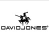DAVID JONES Sacs